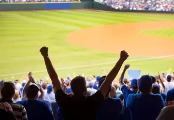 Fans at a baseball game