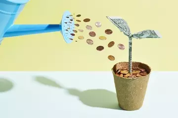 A whimsical picture of a blue watering can sprinkling pennies on a small potted plant made of dollar bills. 