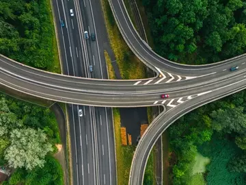 A diverging road surrounded by lush green trees.